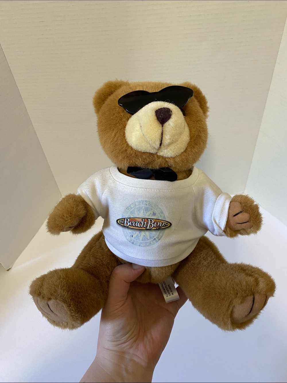 Steven Smith The Beach Boys Teddy Bear Plush Signed?